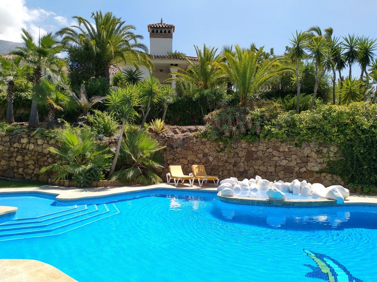 Quinta las Colinas - the pool surrounded by palm trees and shrubs